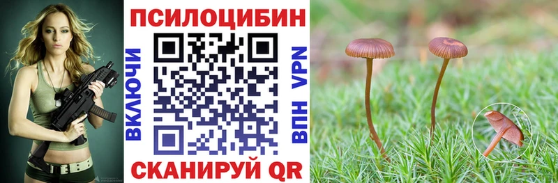 купить наркотик  мега   Псилоцибиновые грибы Psilocybine cubensis  Юрюзань 